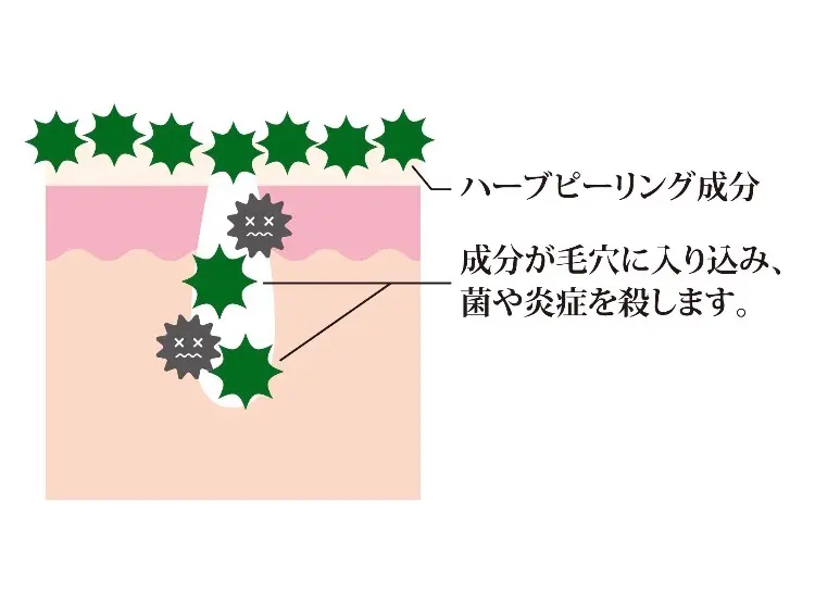 in youの内観・外観2