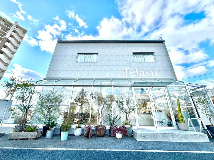 Telasuの内観・外観2