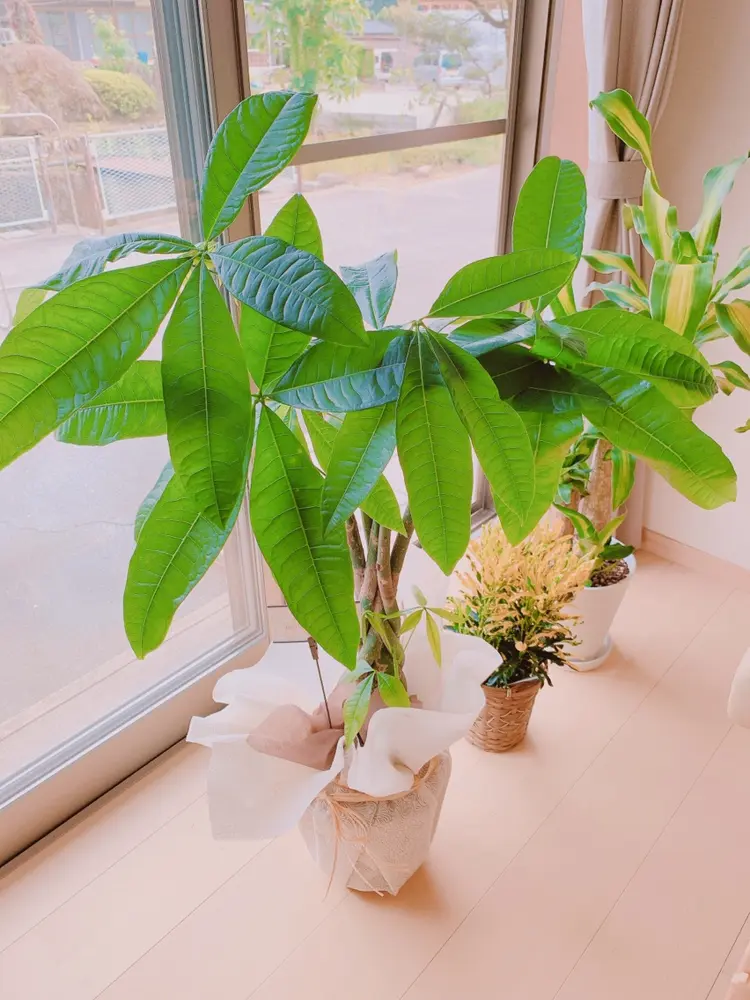 プライベートサロン　グランデルシアルの内観・外観2