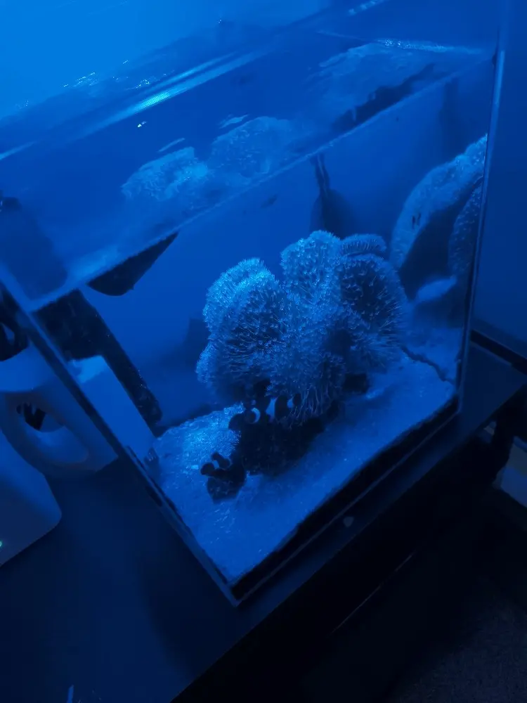 耳かき専門店ミミアンの内観・外観3