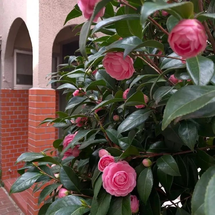 lua.の内観・外観3