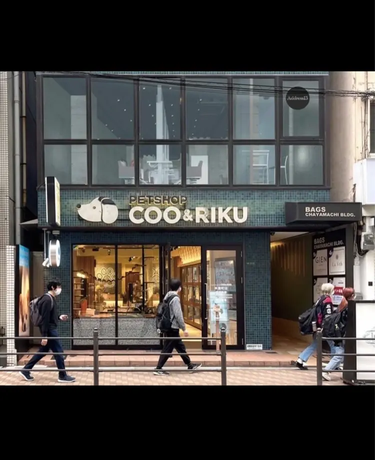 Address13の内観・外観2