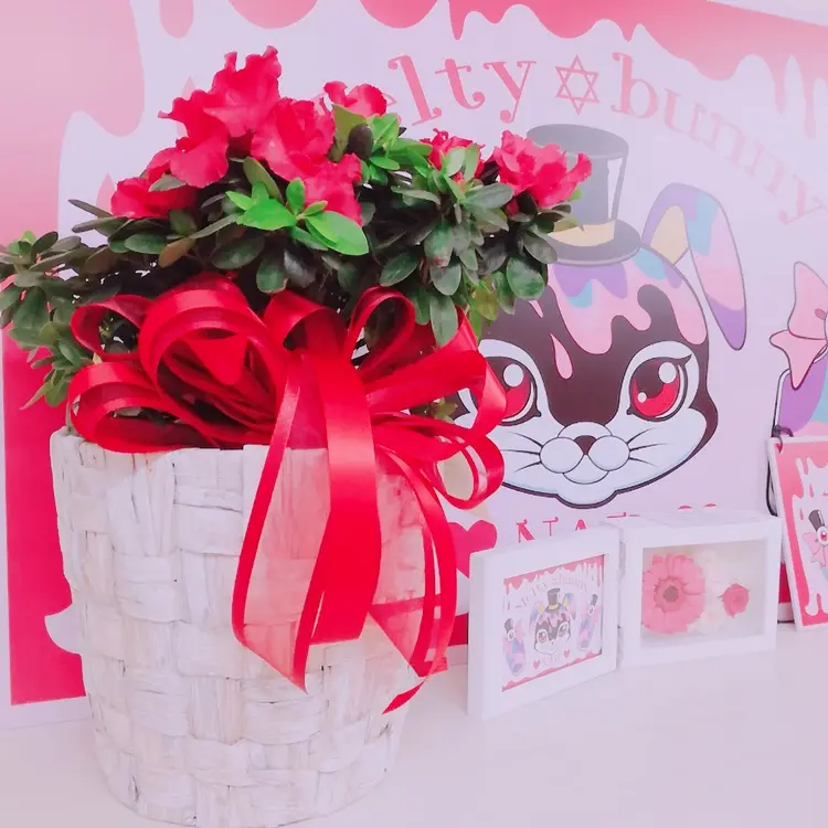 MeltybunnyNAILの内観・外観1