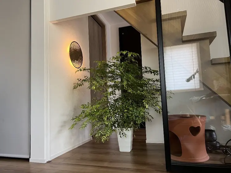 ほぐし処　はなももの内観・外観2