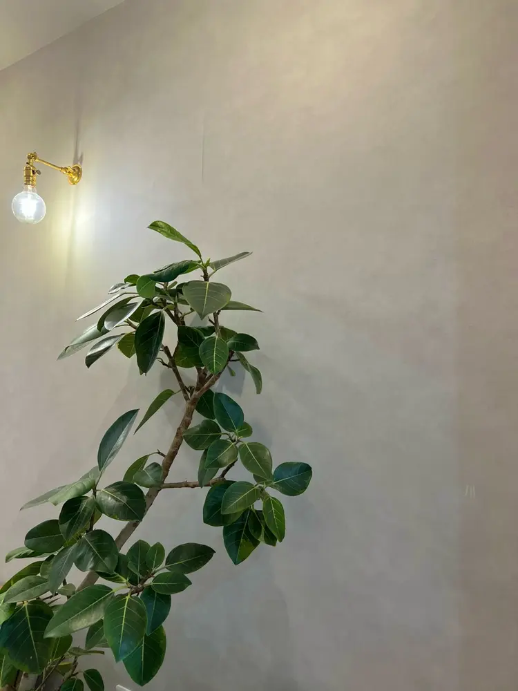 IVY joureの内観・外観2