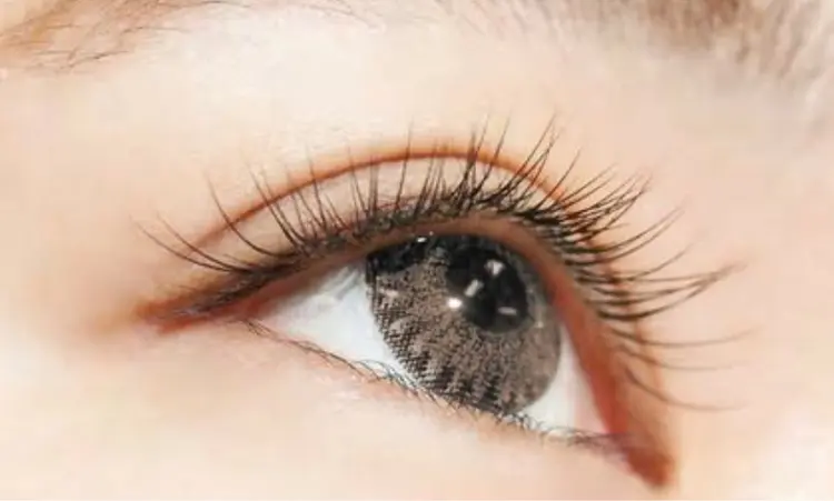 Eyelash Salon Blancの内観・外観1