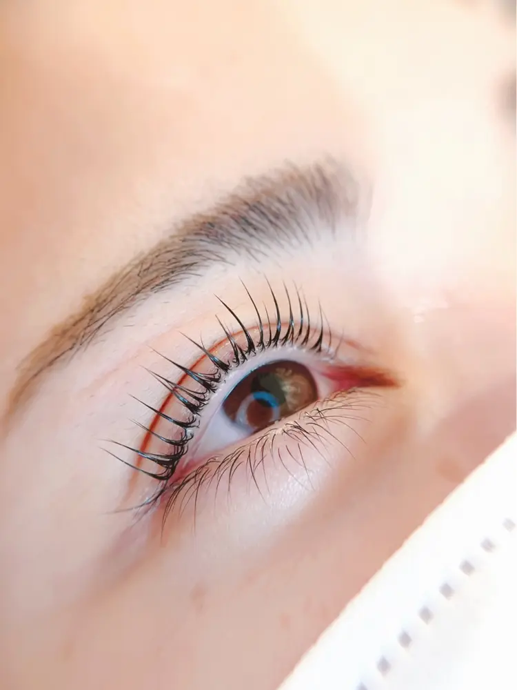 vorne・monterの内観・外観1