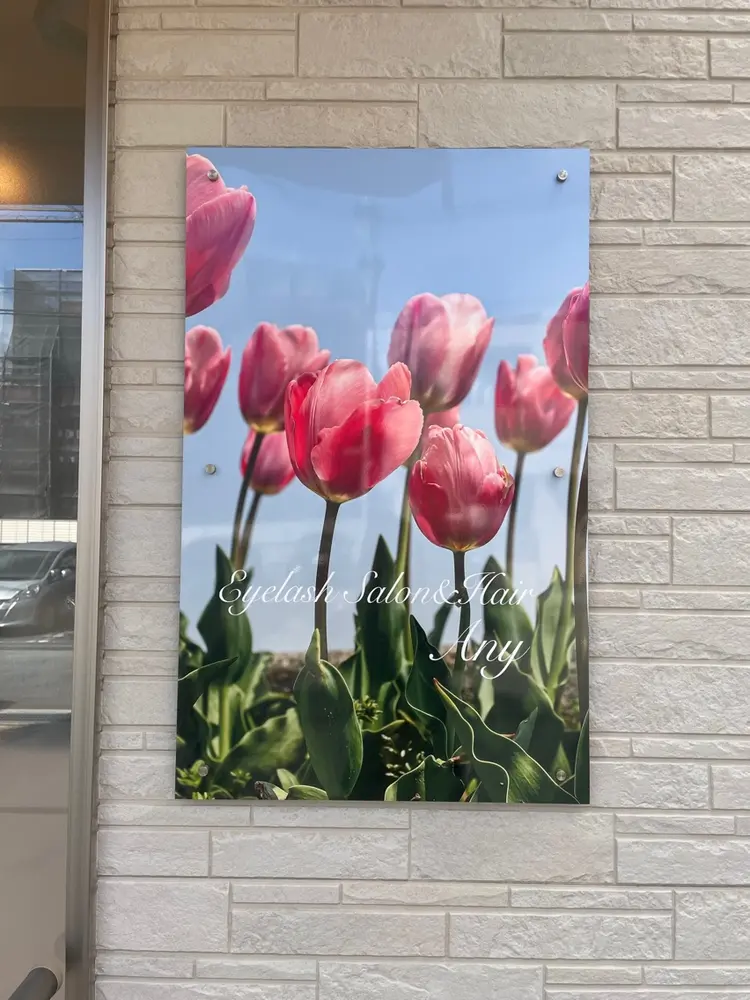 Any eyelash＆hairの内観・外観1