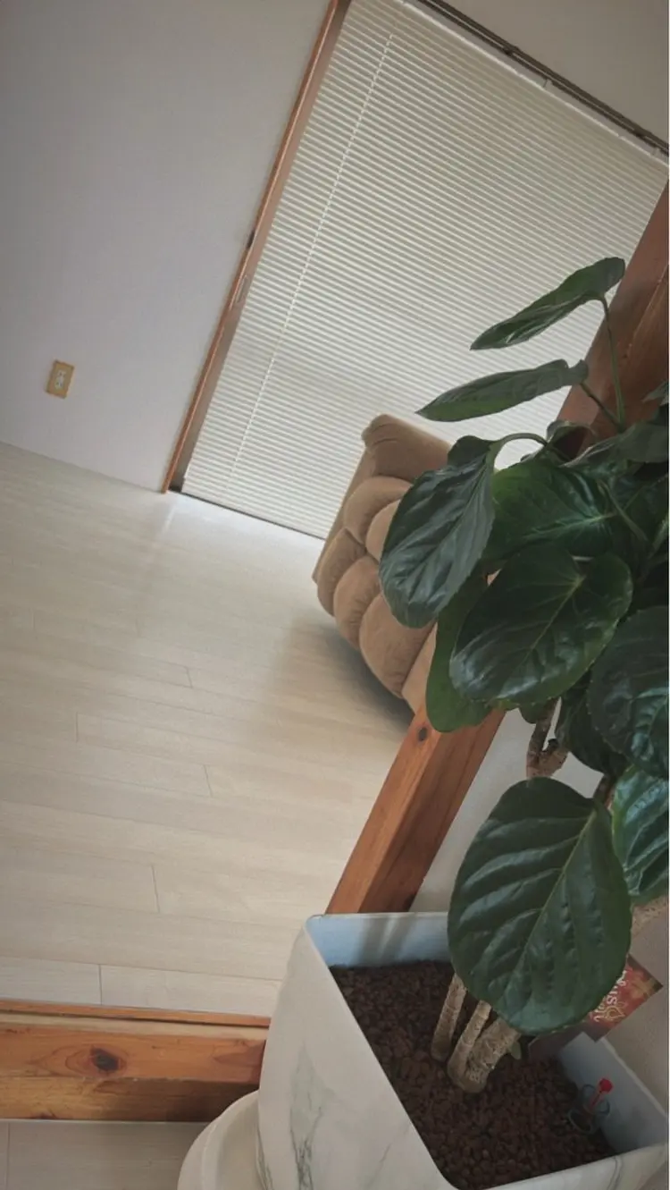 Salon  Bonitaの内観・外観1