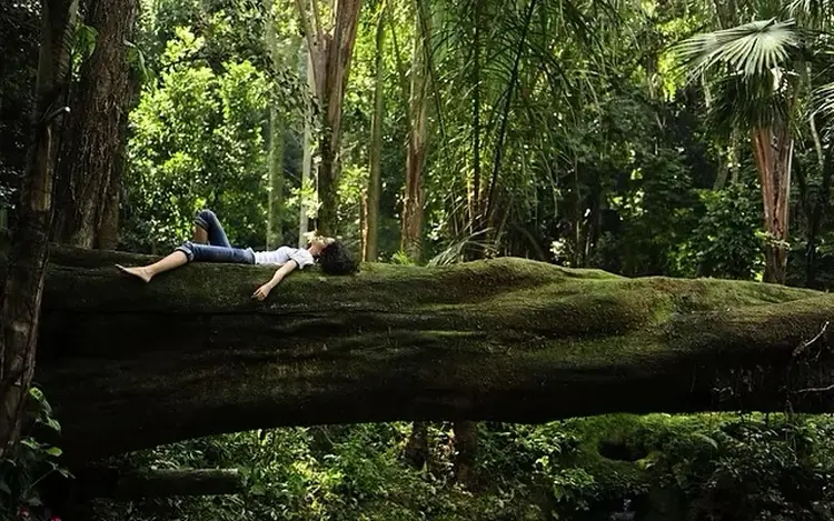 Mani di Fataの内観・外観1