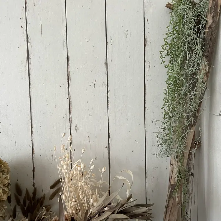 MANAの内観・外観3