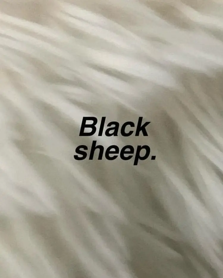 Black sheep.の内観・外観2