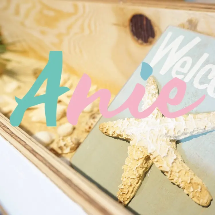 Anieの内観・外観3