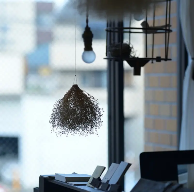 vahanの内観・外観3