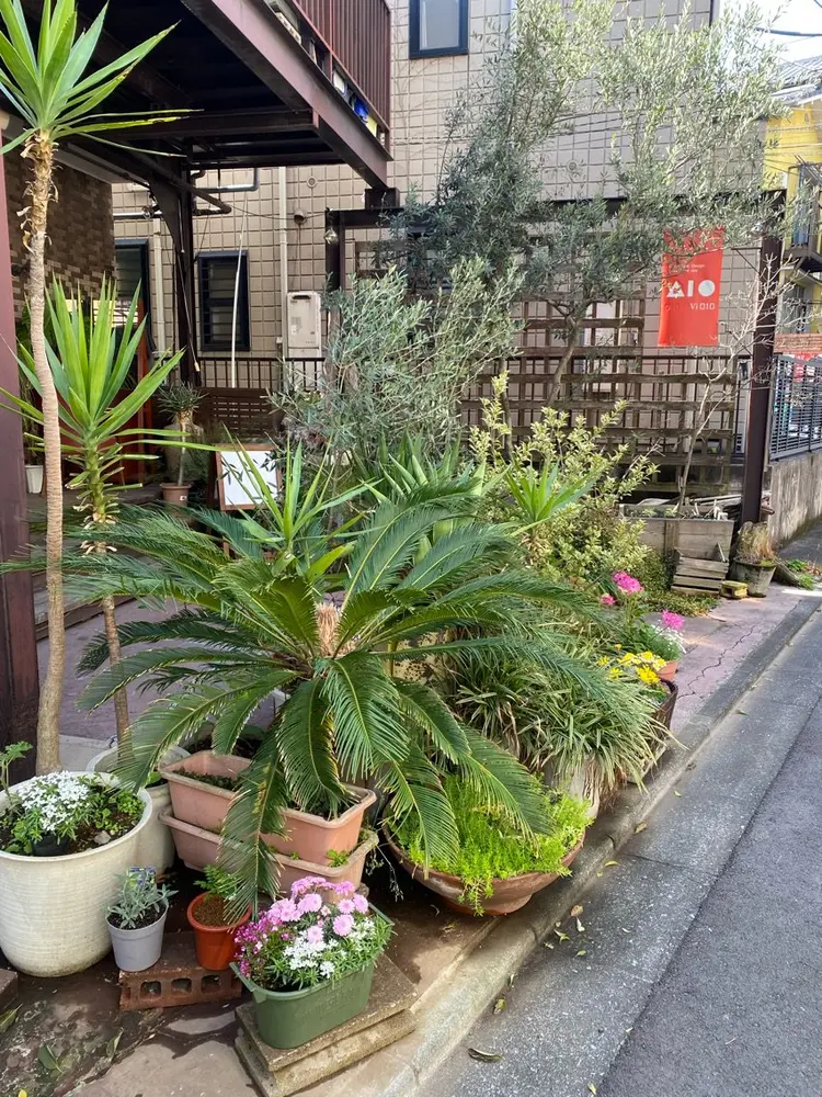 A10vi010の内観・外観1