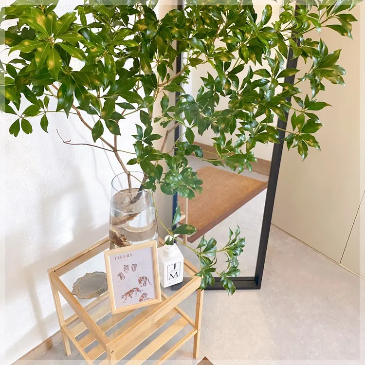 Taeye Lash Salon(テア ラッシュ)の内観・外観2