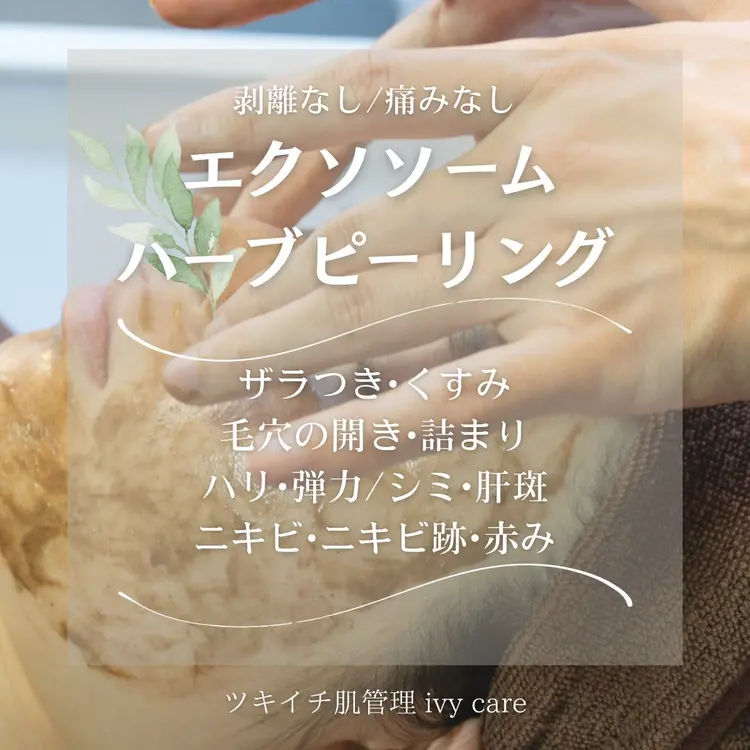 ivy careの内観・外観1