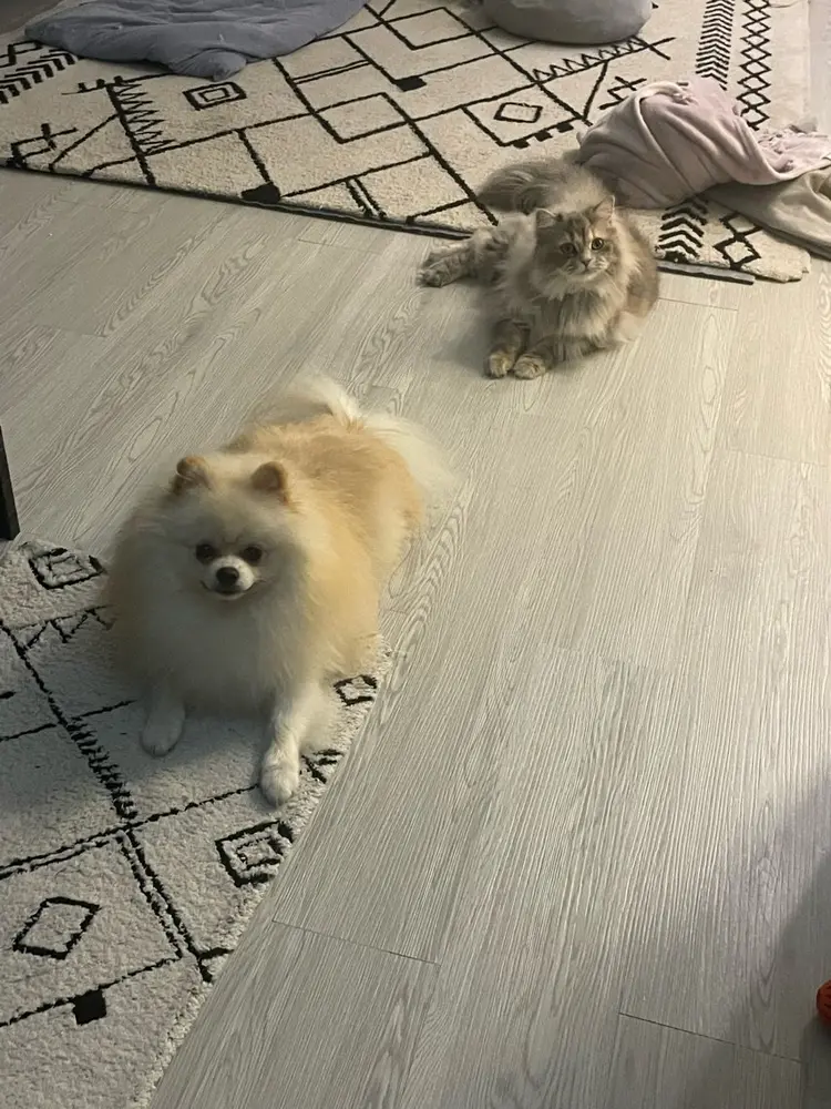 Bel nailsの内観・外観2