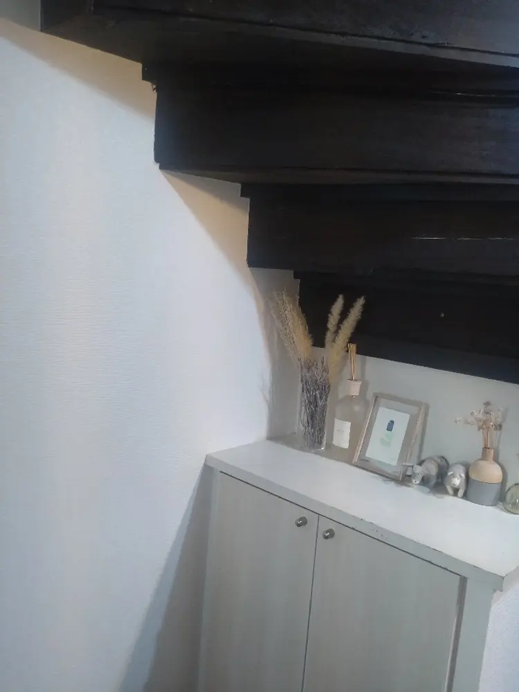 norafu.の内観・外観1