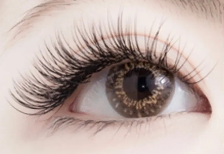 Eyevyの内観・外観3