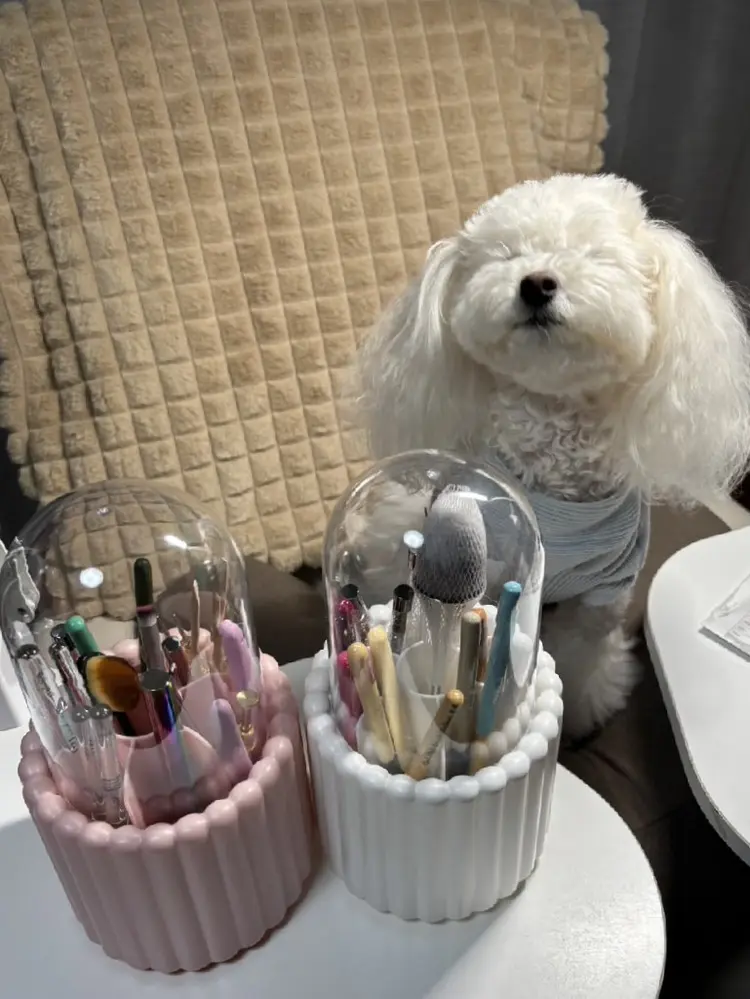 Sea Sunの内観・外観3