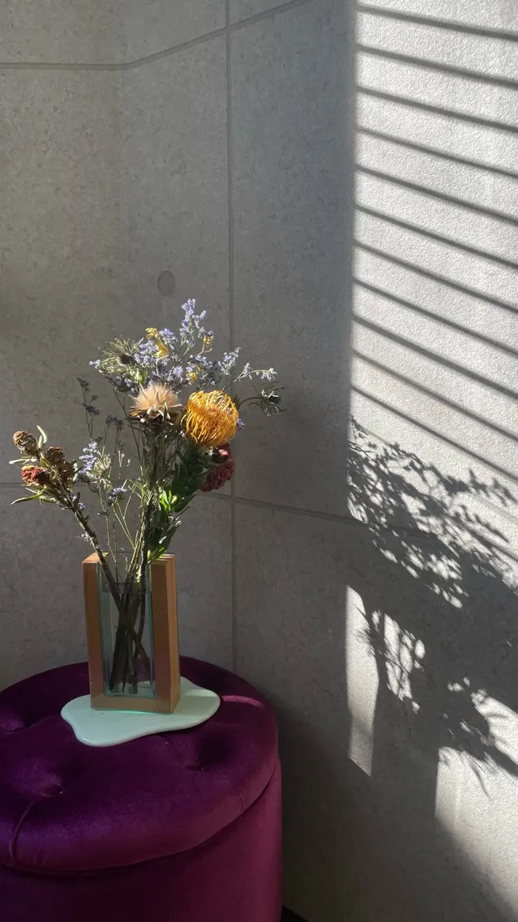 𝗩𝗢𝗟𝗟𝗠𝗢𝗡𝗗の内観・外観2