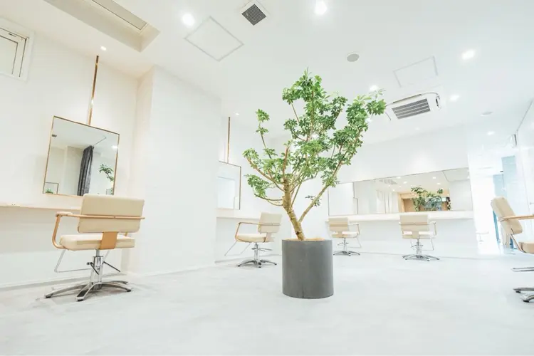 Aoの内観・外観3