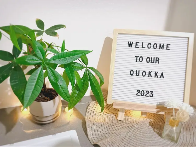 Quokka-クオッカ-の内観・外観2