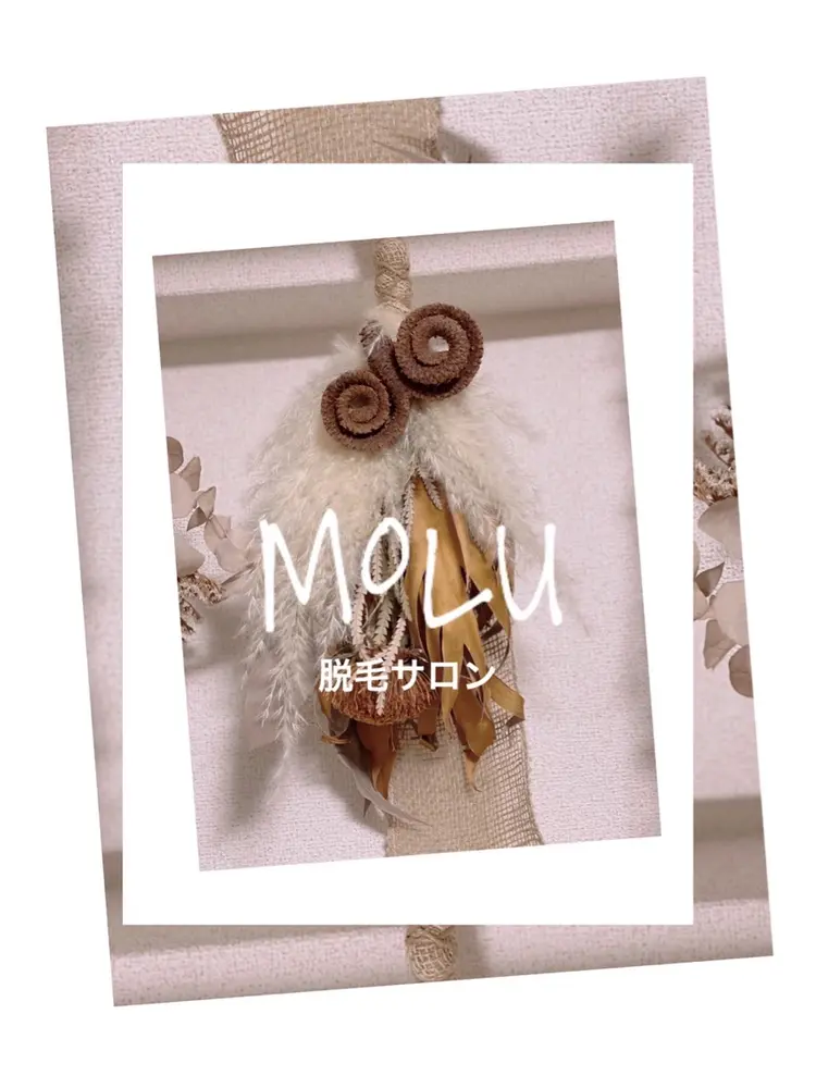 脱毛サロンMoluの内観・外観1