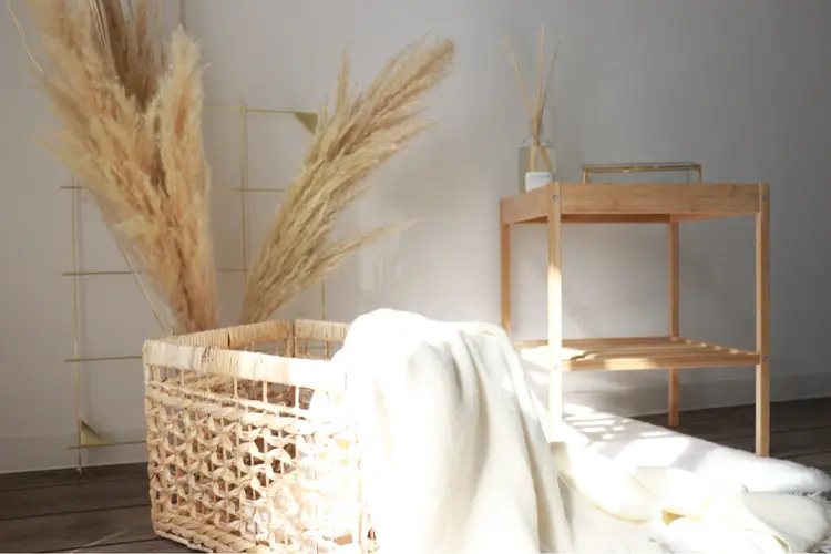 seaileの内観・外観2