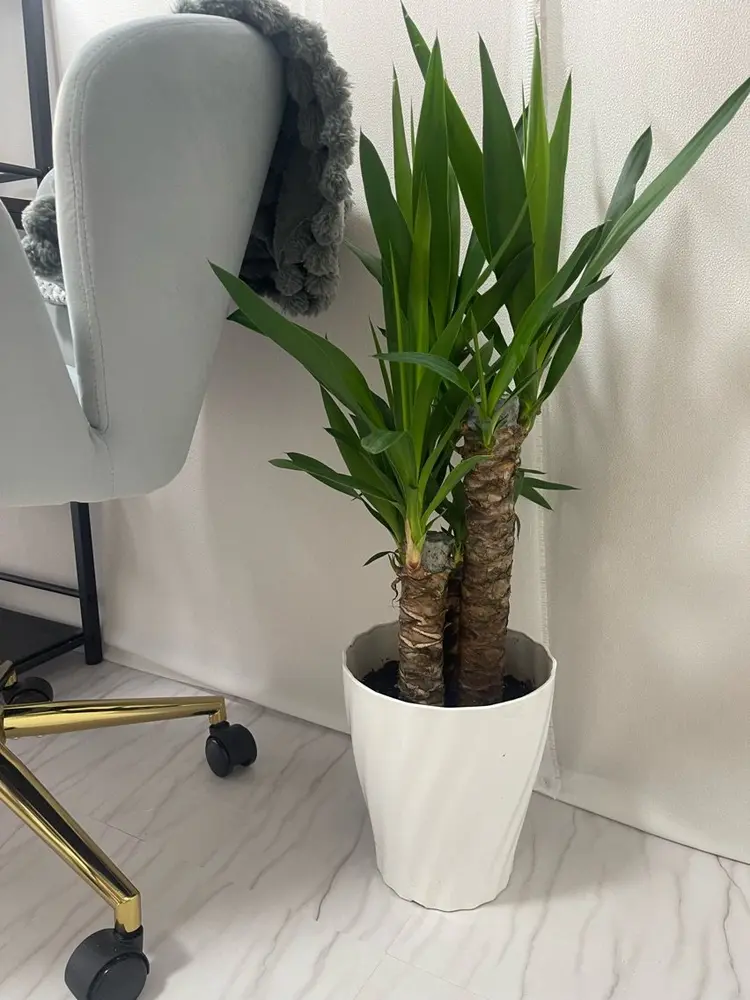 fox.nailの内観・外観2