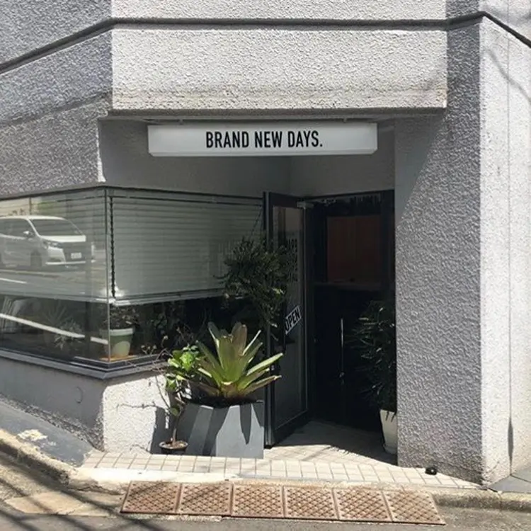 BRAND NEW DAYSの内観・外観1