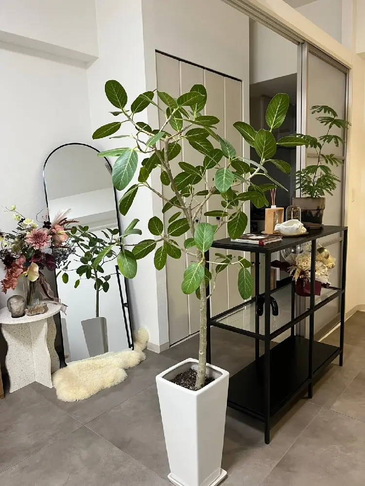 Millaの内観・外観3