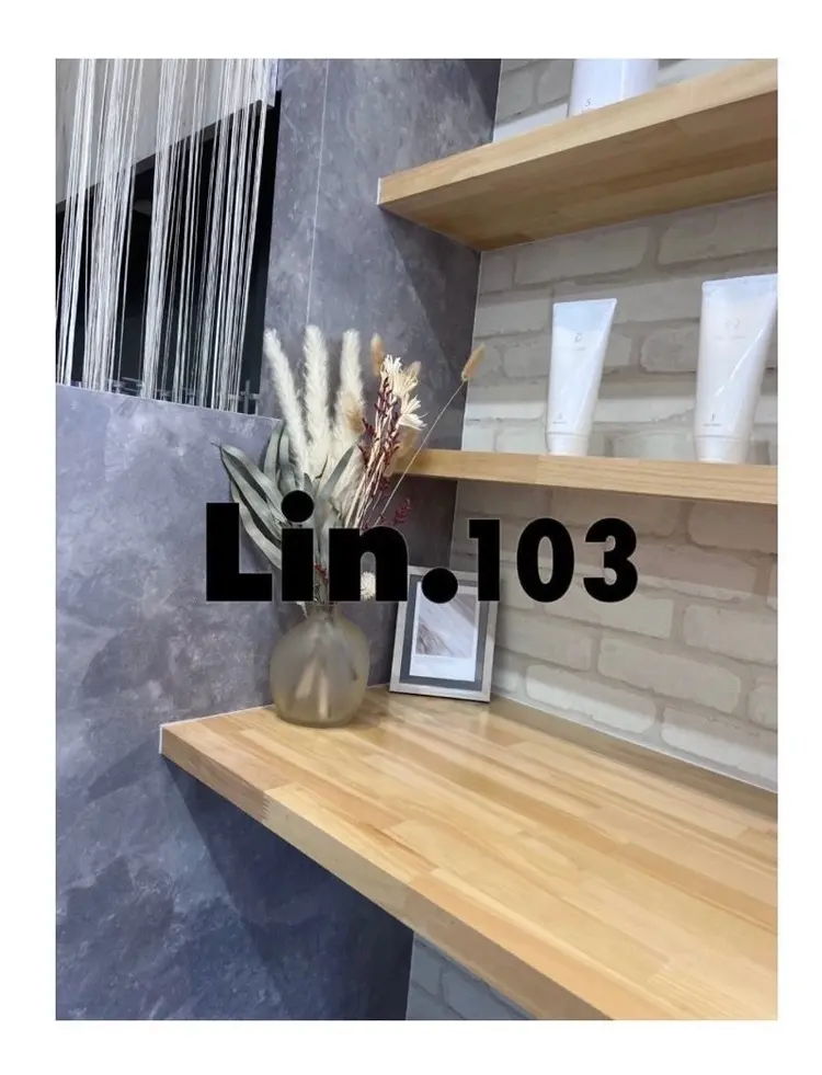 Lin.103の内観・外観2