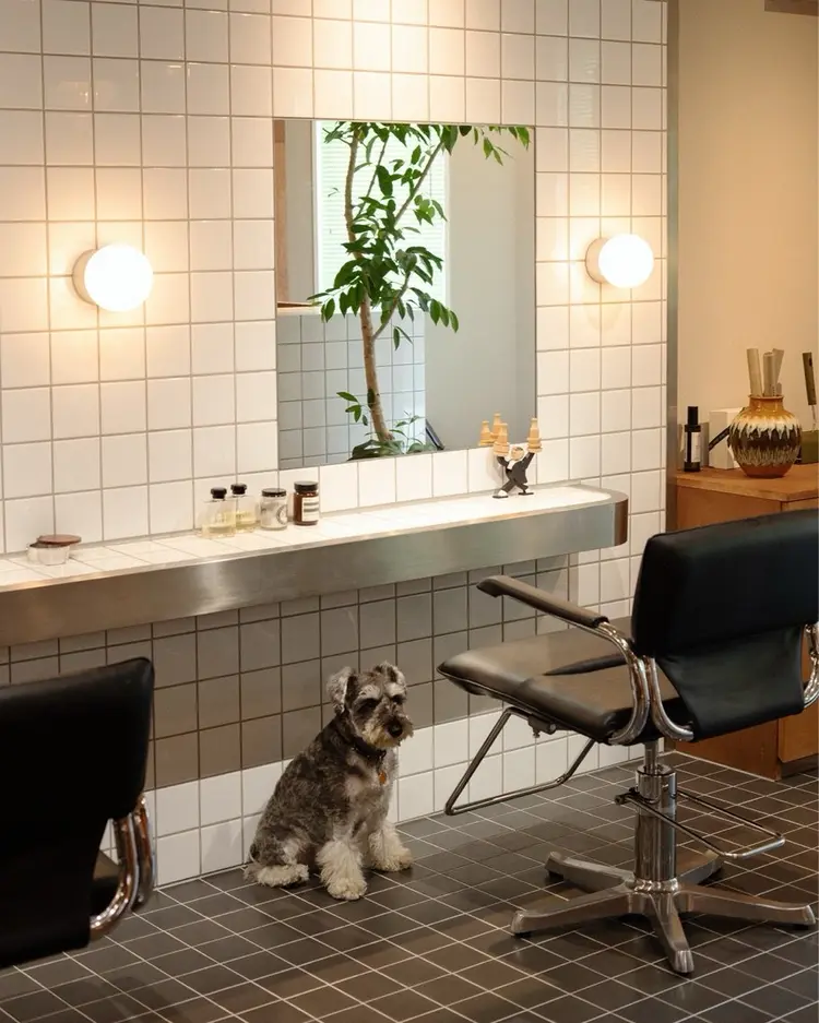 siikaの内観・外観1