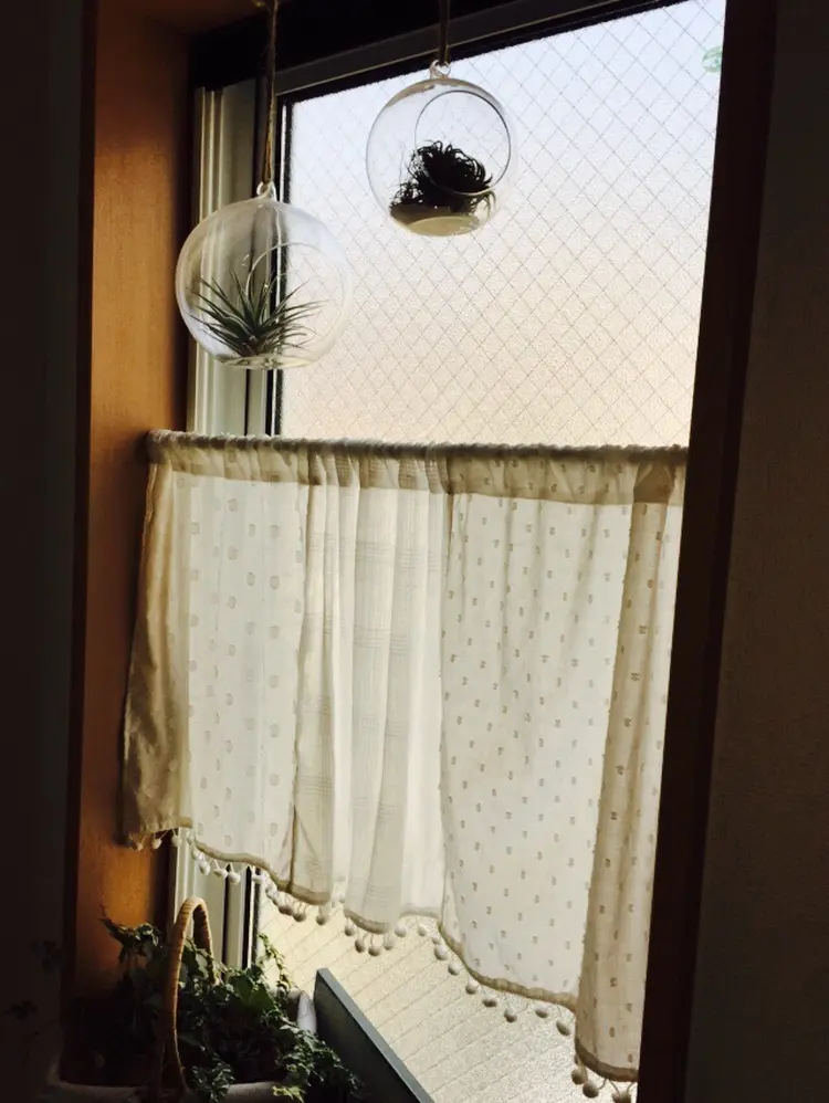 アイラッシュ MOMOの内観・外観1