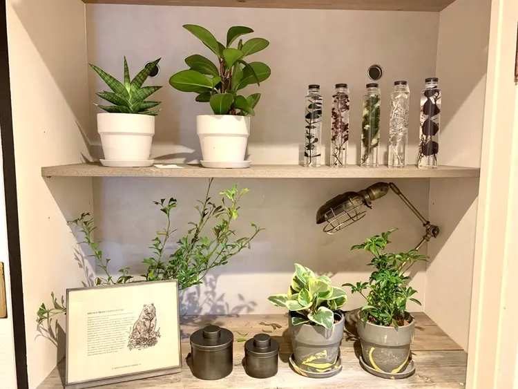 elua eyelashの内観・外観1