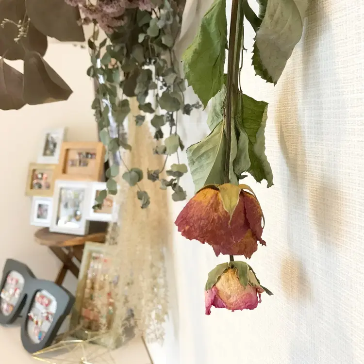 nail salon ｎｅｃｏｒｉ．の内観・外観1