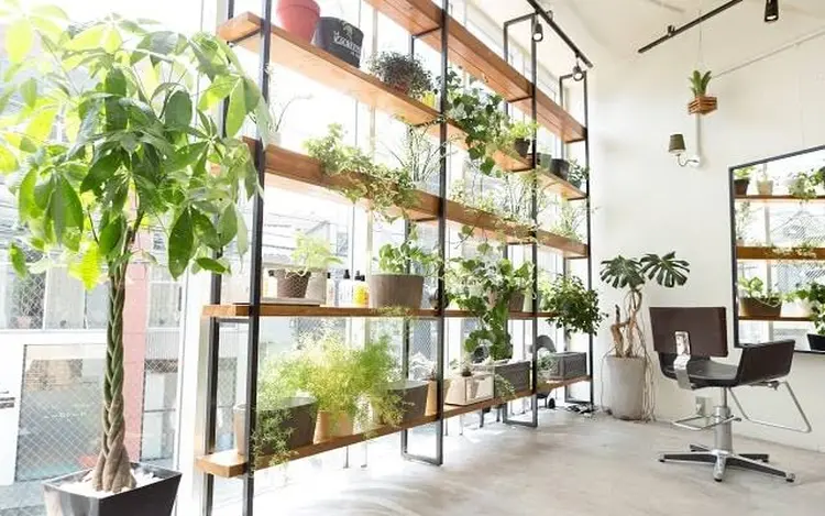 thegosewellの内観・外観2