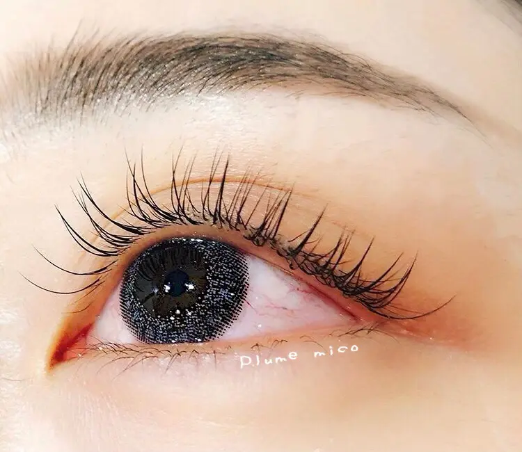 Plume  micoの内観・外観2