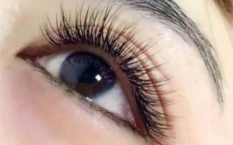 Goddessガァディスの内観・外観2