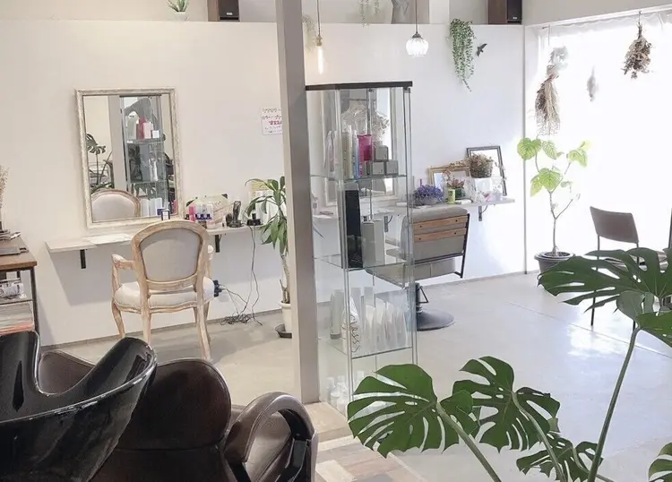 lampsi  hairの内観・外観1