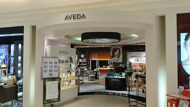 Maison Blanc西宮阪急店の内観・外観1