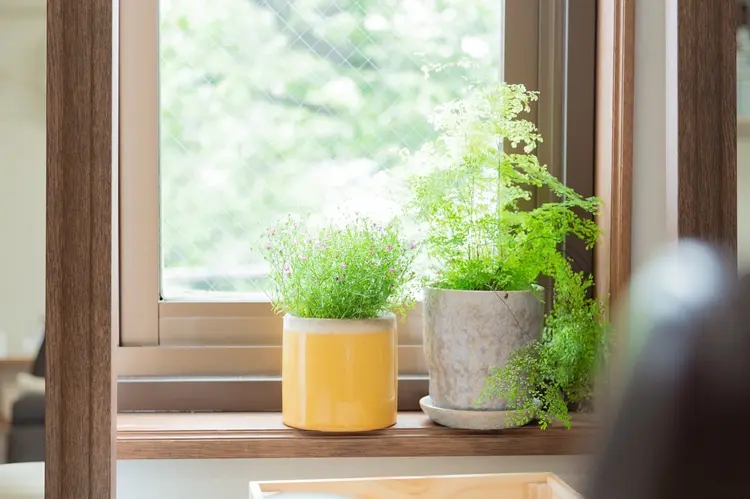 Lyckaの内観・外観3