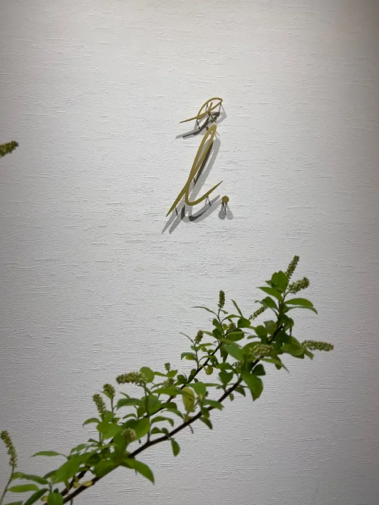 VIEW  NEOの内観・外観3