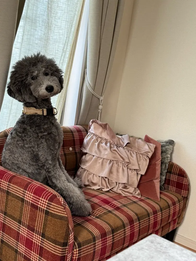 Atelier S.の内観・外観3