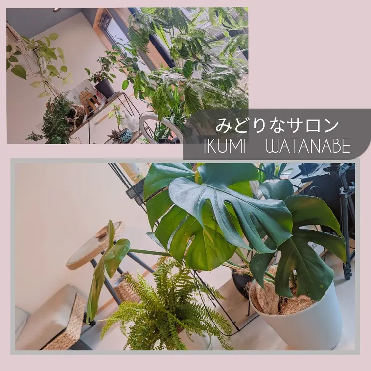 IKUMI WATANABEの内観・外観3