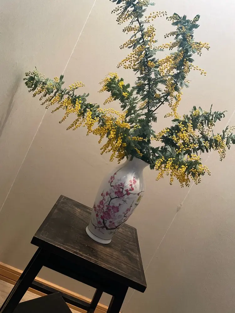 ザ サロンの内観・外観1