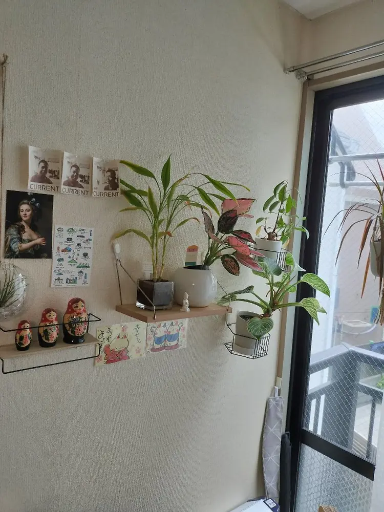 ハルモニアの内観・外観1