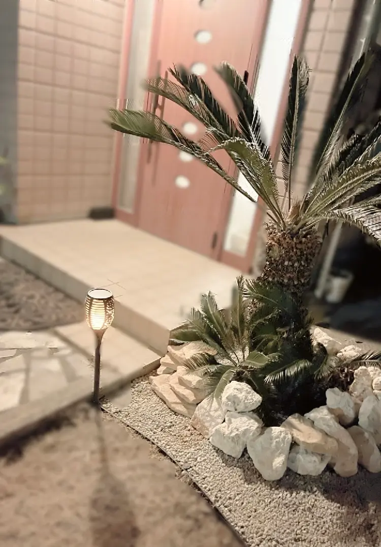 bianca【ビアンカ】の内観・外観3